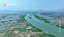【老闽南】海滨邹鲁 理学薪传（上）