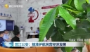 晋江公安：精准护航民营经济发展
