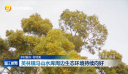 乡村振兴·村村美 英林镇马山水库周边生态环境持续向好