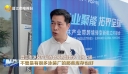 晋品出海 贸通全球 英林产业带跨境转型新模式对接会举行