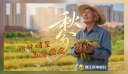 秋分时至 五谷盈仓