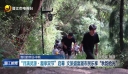 我们的节日·中秋 “月满灵源·趣享双节”启幕 文旅盛宴邀市民乐享“秋韵拾光”