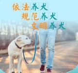 依法养犬 规范养犬 文明养犬