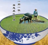 节约粮食 拒绝浪费