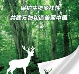 保护生物多样性 共建万物和谐美丽中国