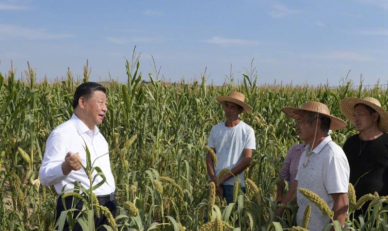2021年9月13日,习近平总书记在前往陕西米脂县高西沟村考察调研途中临时下车,察看粮食作物长势,同正在田间劳作的老乡拉家常。