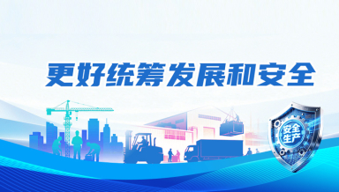 更好统筹发展和安全