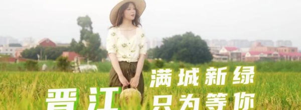 晋江 满城新绿只为等你