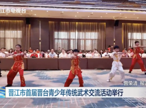 晋江市首届晋台青少年传统武术交流活动举行