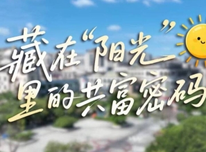 藏在“阳光”里的共富密码