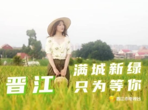 晋江 满城新绿只为等你