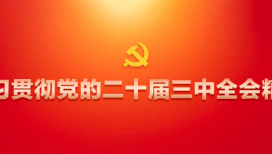 学习贯彻党的二十届三中全会精神