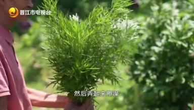 乡村医生吴水木：打造“中药百草园”服务周边群众