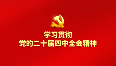 学习贯彻党的二十届四中全会精神