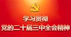学习贯彻党的二十届三中全会精神