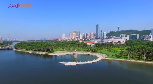 参天之木有其根——习近平同志在福建金融实践探索的三个故事