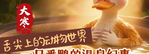 舌尖上的动物世界 一只番鸭的温泉纪事