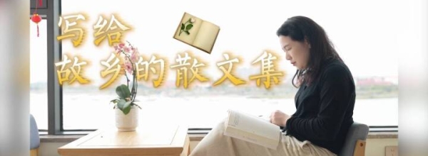 【新视线】写给故乡的散文集